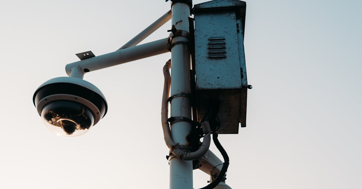 Analyzing the Effectiveness of Private Security in Reducing Crime in Sydney