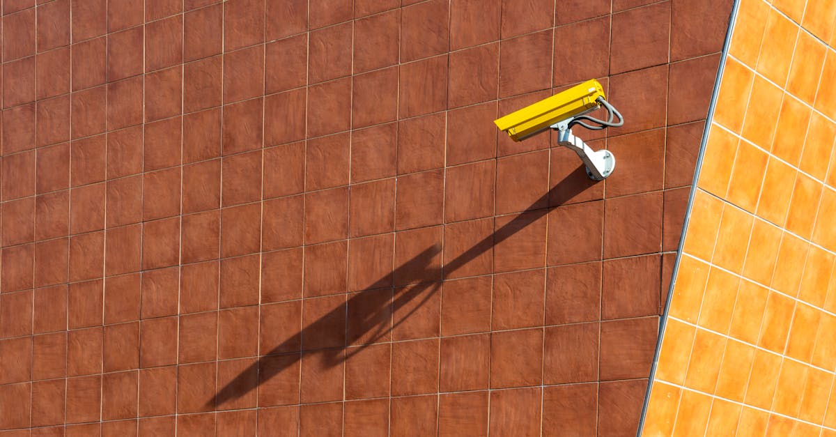 Assessing the Effectiveness of Surveillance in Enhancing Public Safety
