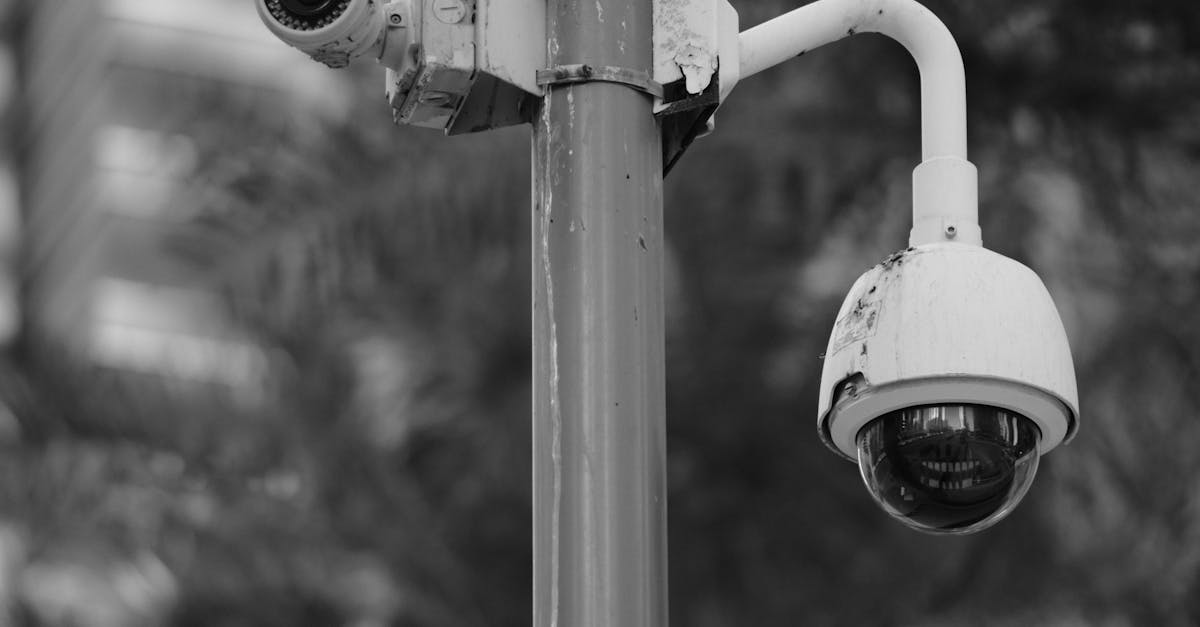 How Sydney Residents View the Rise of Surveillance Measures