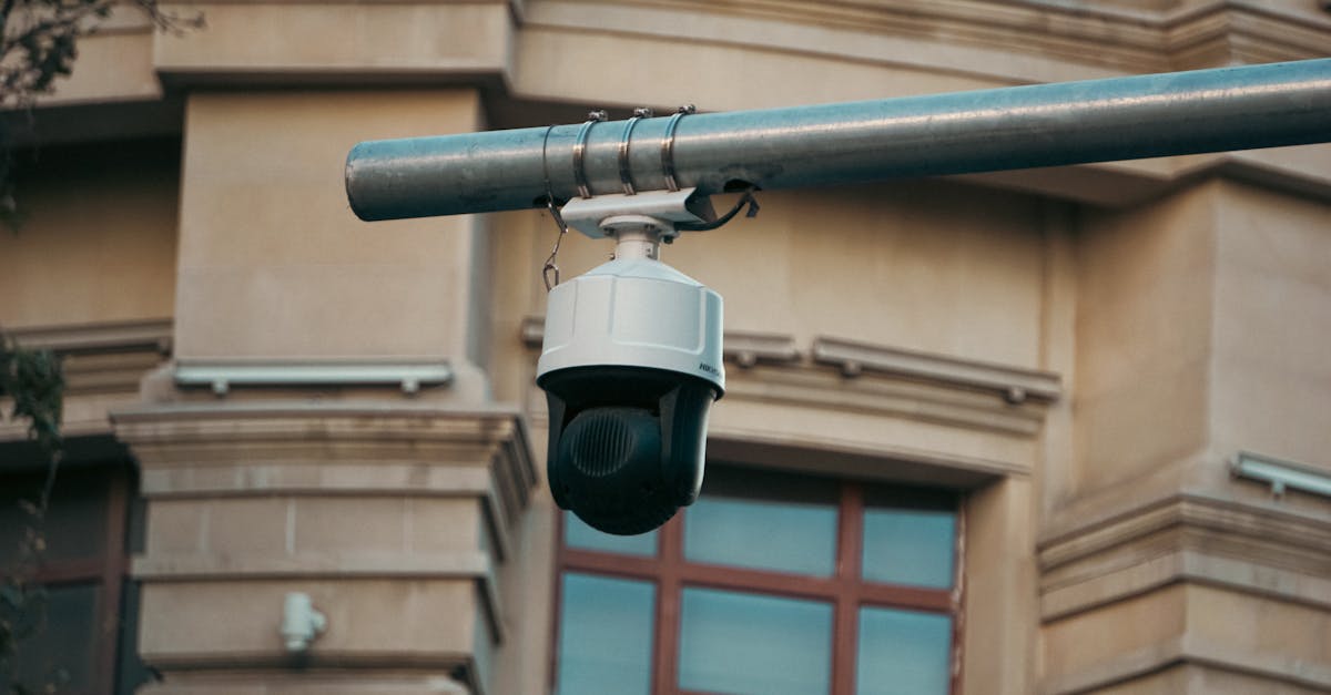 Public Safety vs. Privacy: The Balance of Government Surveillance in Sydney