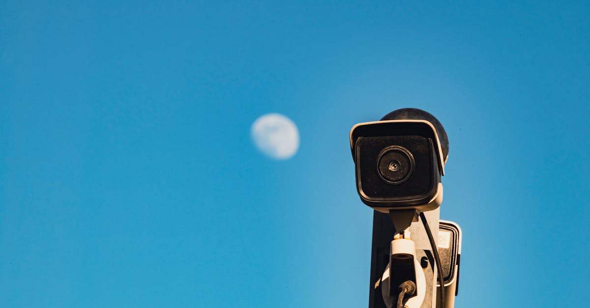 Surveillance Policies vs. Individual Rights: A Sydney Perspective