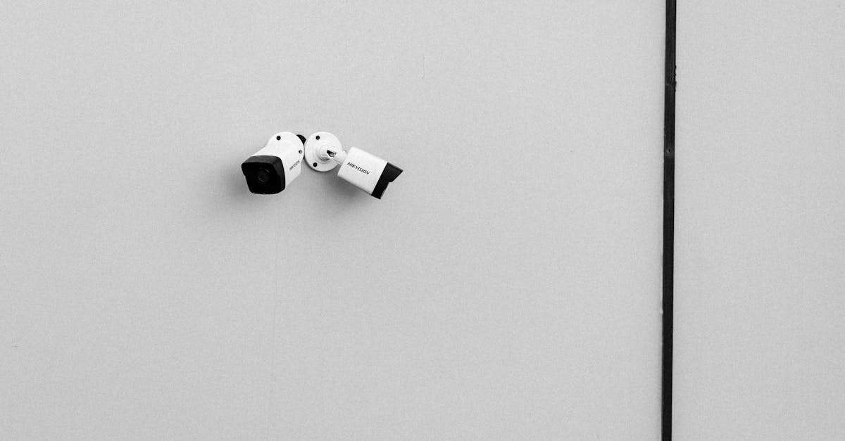 Sydney Crime Reduction: A Statistical Analysis of Surveillance Programs