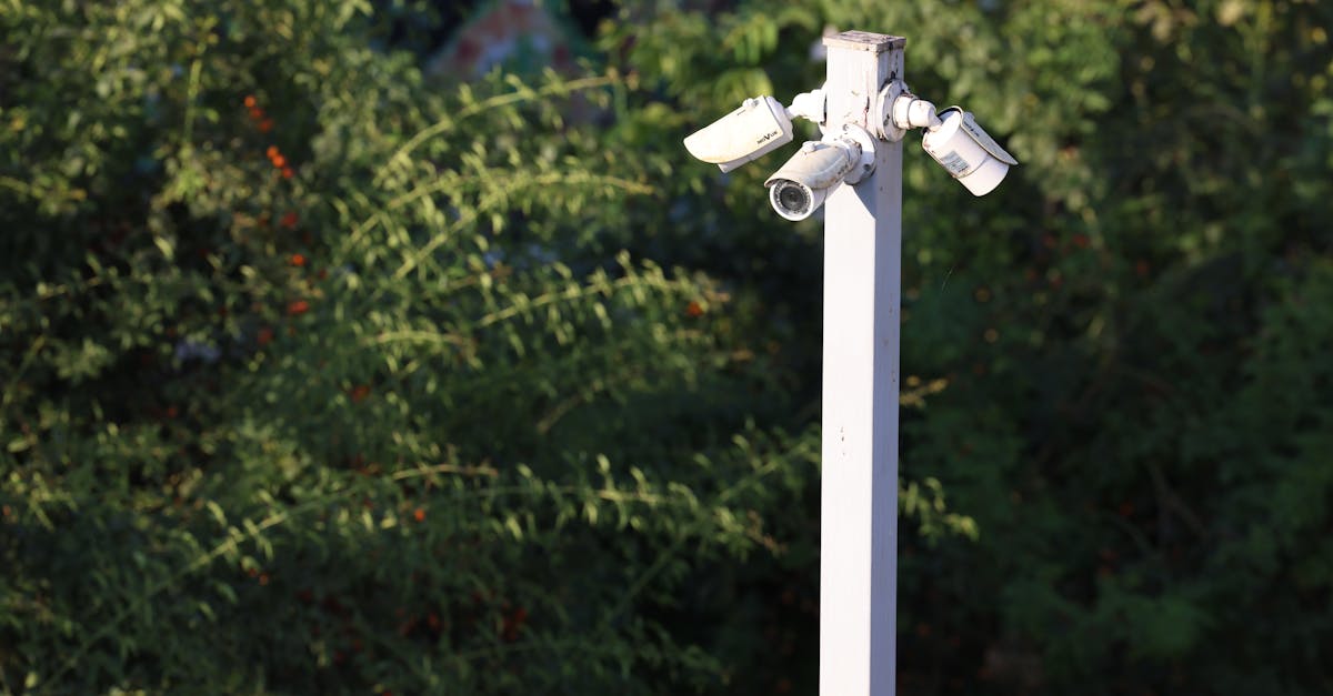 Sydney's CCTV Network: Public Perception and Privacy Implications