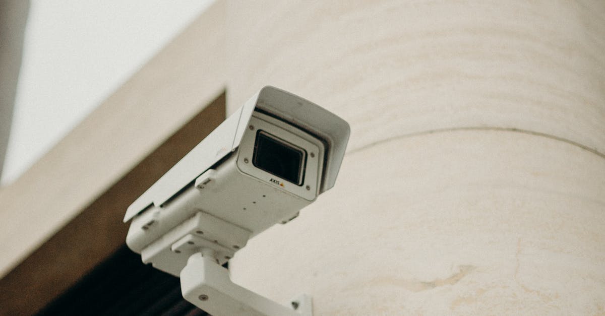 The Correlation Between Increased Surveillance and Decreased Vandalism Incidents