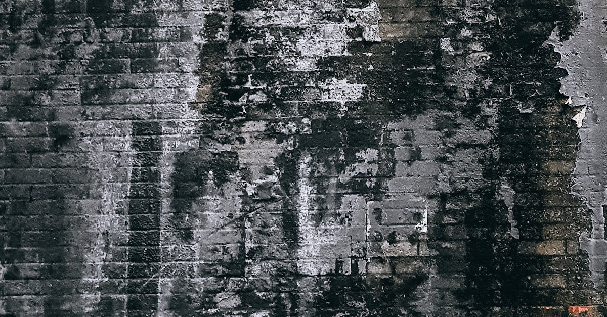 The Intersection of Surveillance Technologies and Individual Privacy