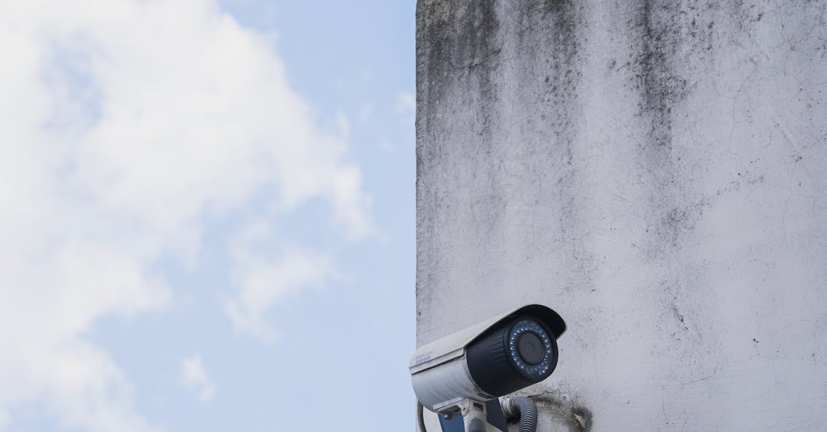 Understanding Local Government Incentives for Security System Purchases
